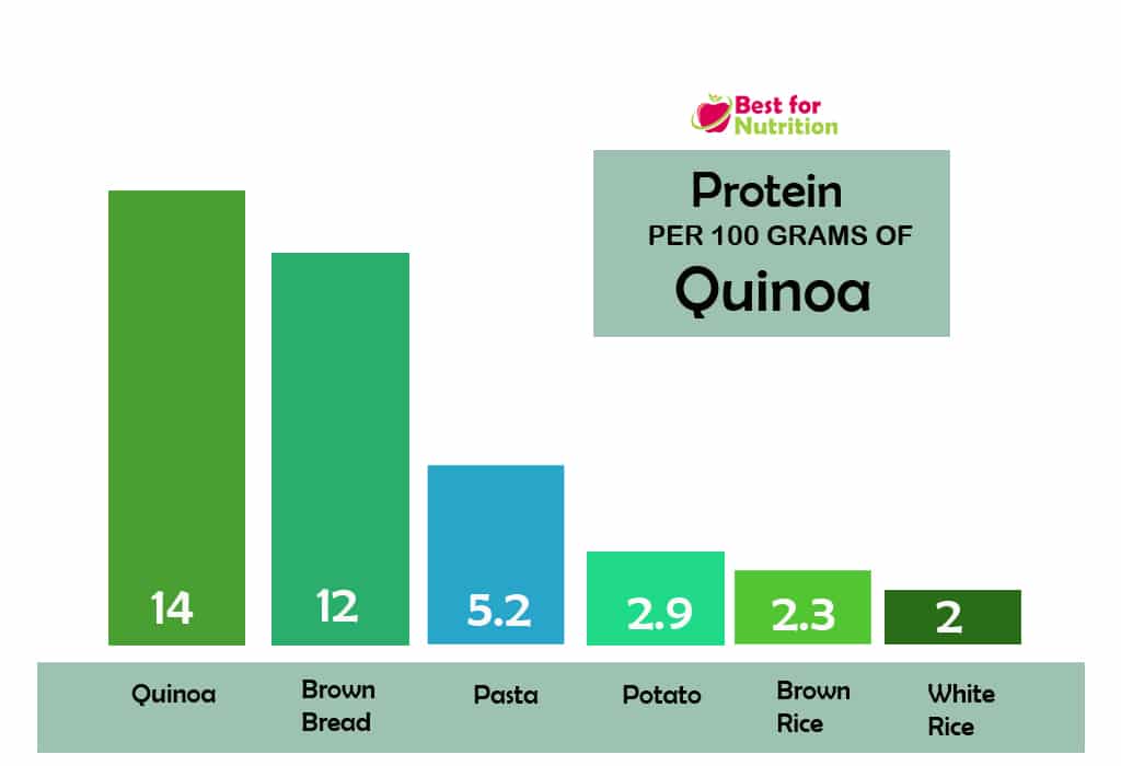 Protein content of Quinoa- Comparison graph