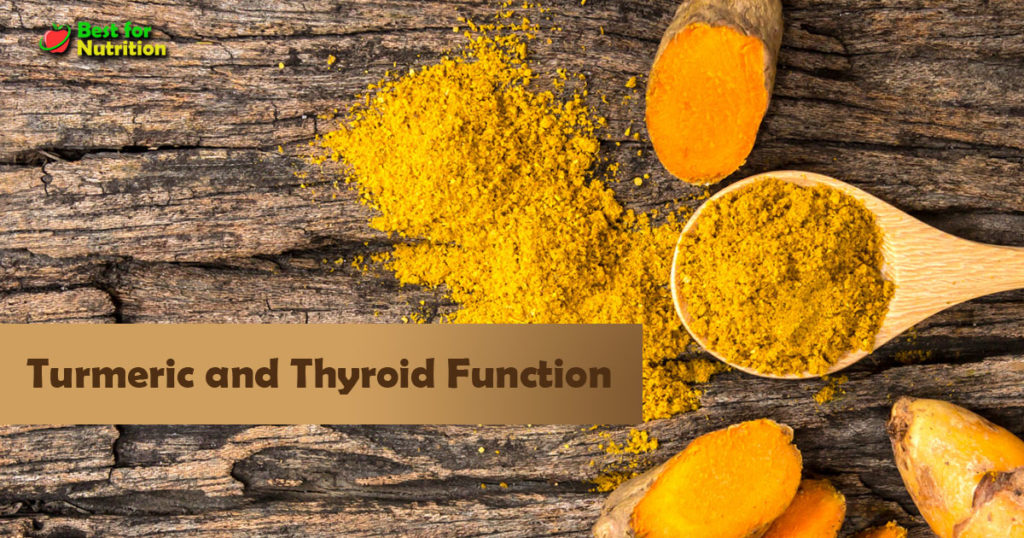 Turmeric and Thyroid Function
