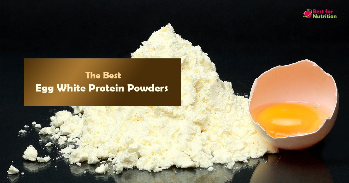 Best Egg White Protein Powders