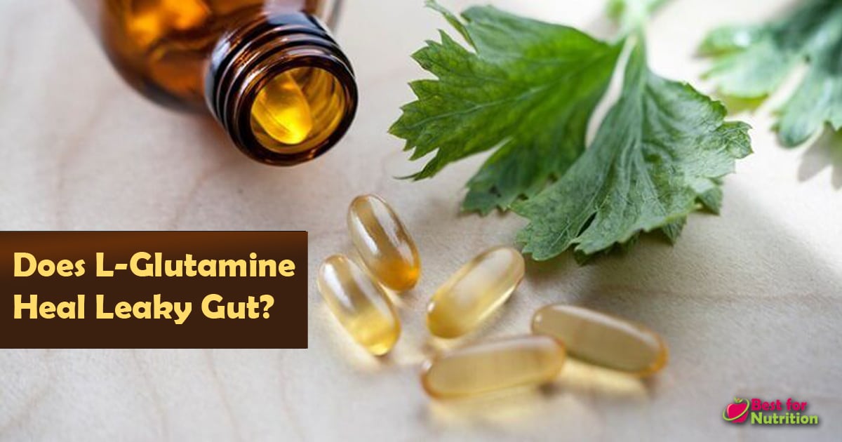 Does L-Glutamine Heal Leaky Gut