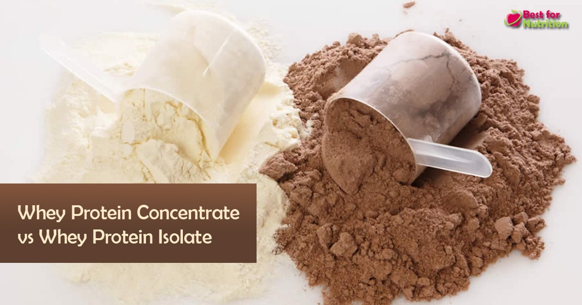Whey Protein Concentrate vs Whey Protein Isolate
