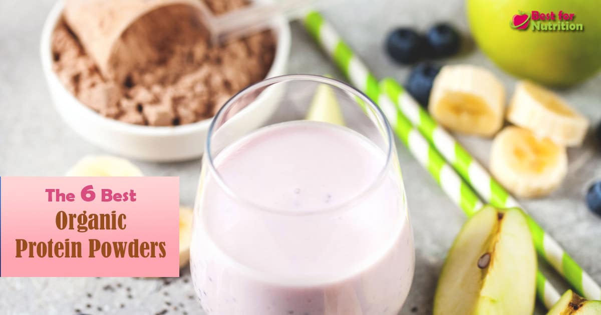 6 Best Organic Protein Powders