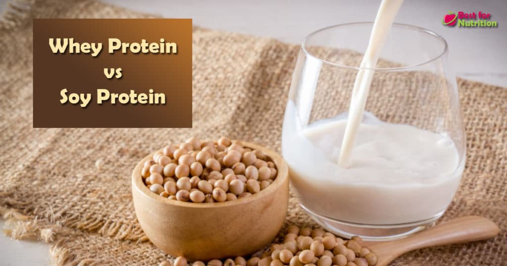 Whey Protein vs Soy Protein