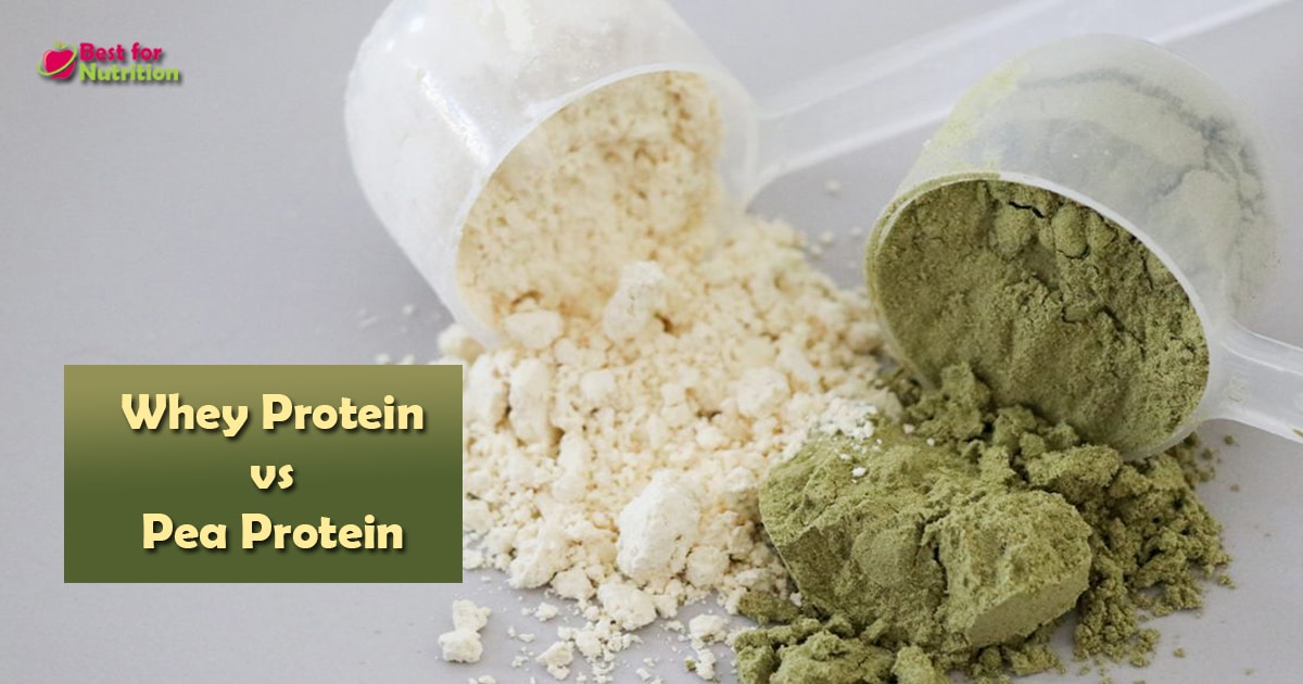 whey vs pea protein