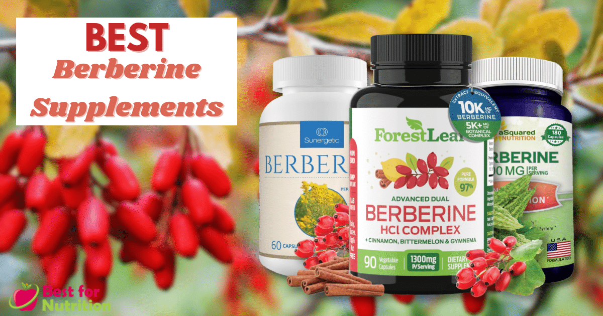 Best Berberine Supplements