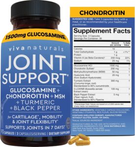 Viva Naturals Glucosamine Chondroitin MSM Joint Support Supplement